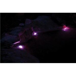 Pontec PondoStar LED RGB Set 3 