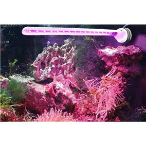 Tunze LED eco chic refugium