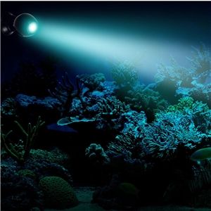 Oświetlenie Fluval Prism LED Spot Light 6,5W RGB