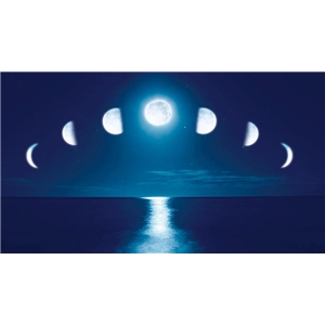 Maxspect MJ-L165 Blue