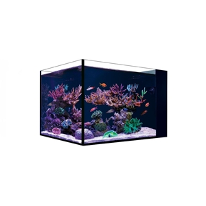 Akwarium Desktop Peninsula (bez szafki)