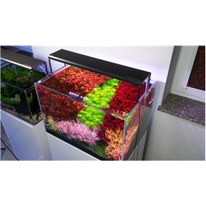 Skylight Hyperbar Fresh FM45 H